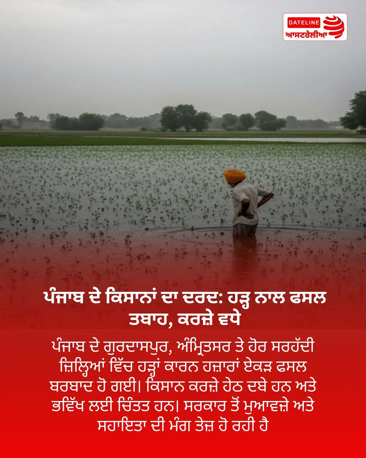 Punjab floods farmers loss